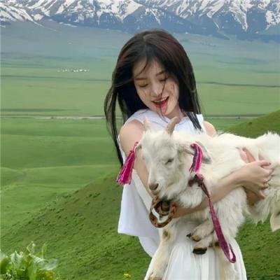 高山上的热气球
