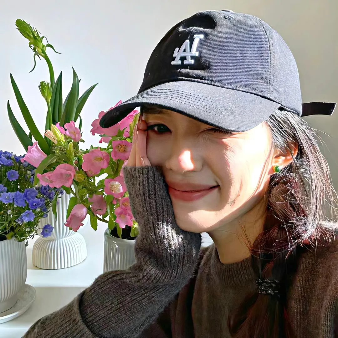 王朝的陷落