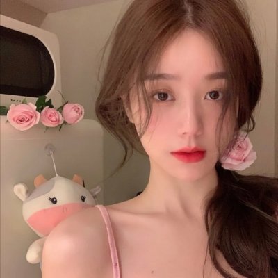 李佩西与五大王国的守护者